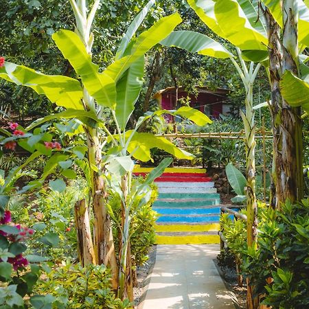 Samyama Retreat 호텔 Cola 외부 사진