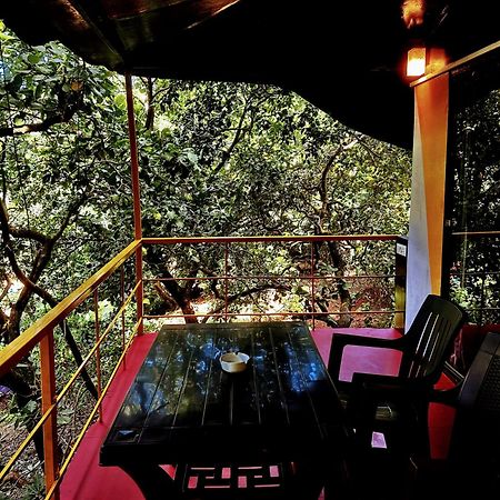 Samyama Retreat 호텔 Cola 외부 사진