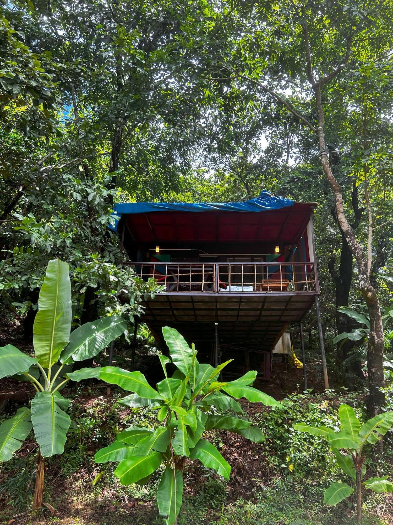 Samyama Retreat 호텔 Cola 외부 사진