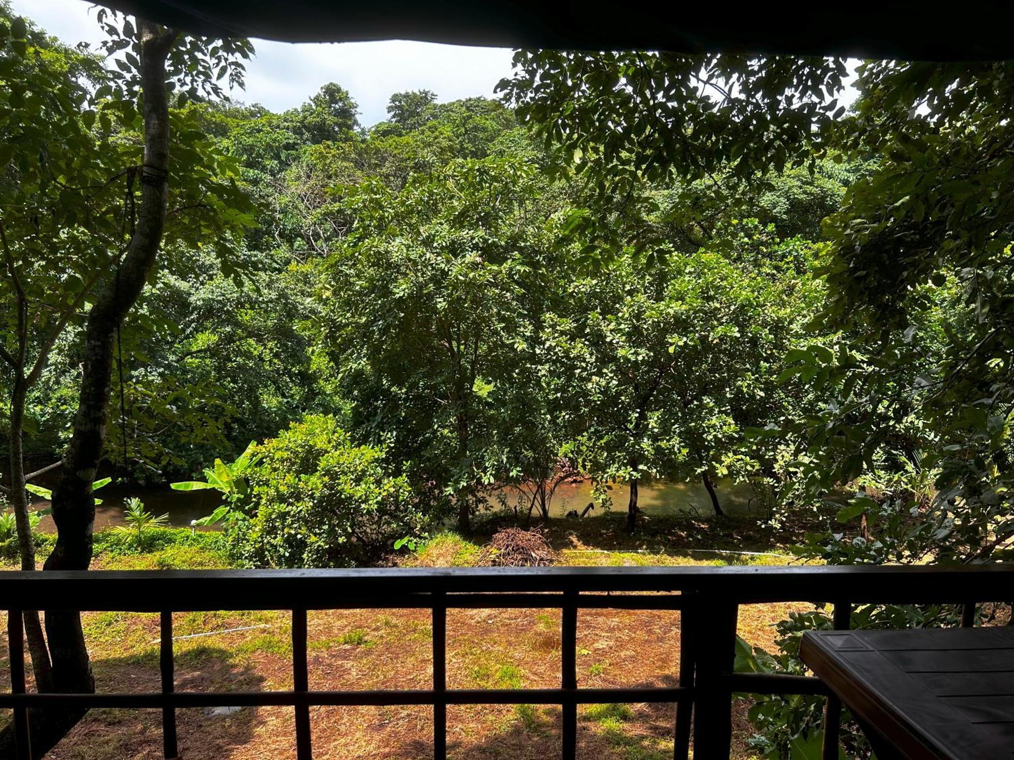 Samyama Retreat 호텔 Cola 외부 사진