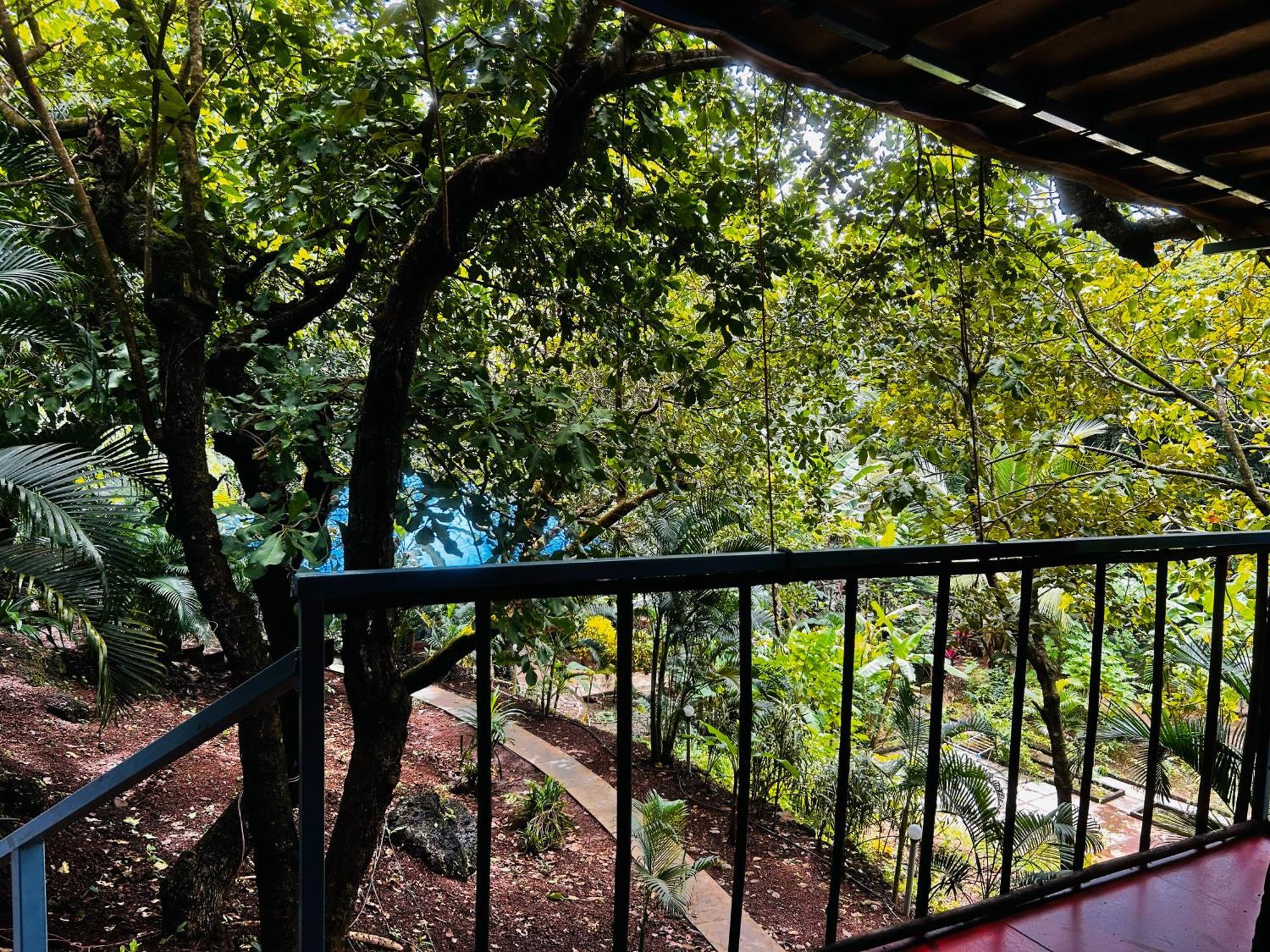 Samyama Retreat 호텔 Cola 외부 사진