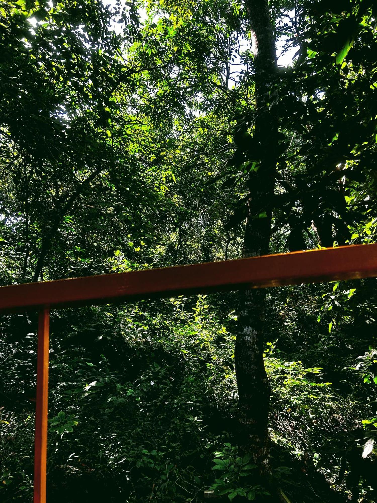 Samyama Retreat 호텔 Cola 외부 사진