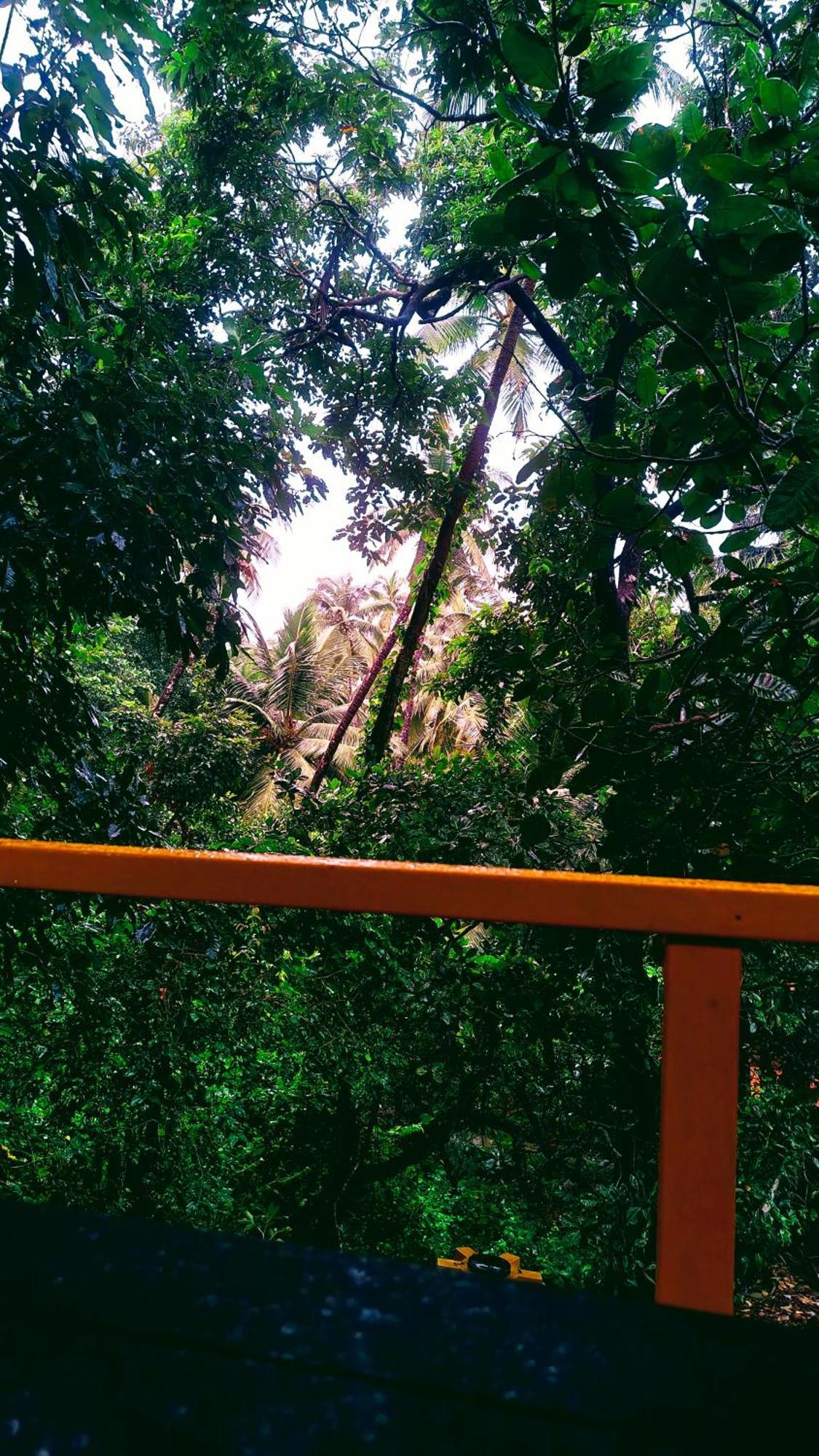 Samyama Retreat 호텔 Cola 외부 사진