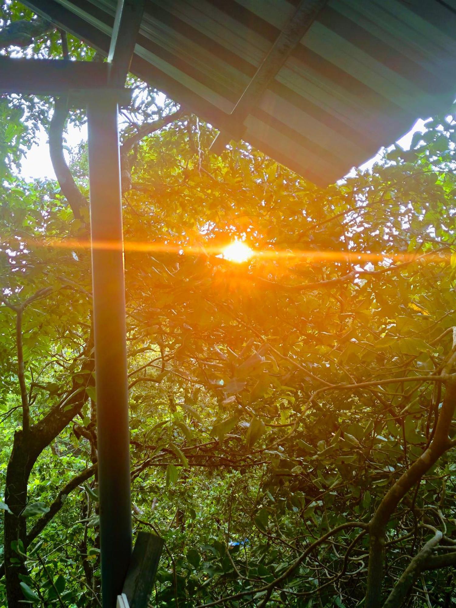 Samyama Retreat 호텔 Cola 외부 사진
